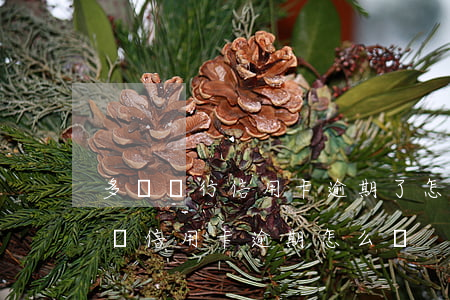 多個銀行信用卡逾期了怎么辦(七八家銀行同時信用卡逾期怎么辦)