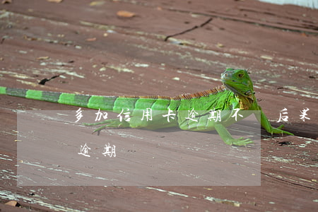 多加信用卡逾期不還后果如何(加拿大信用卡逾期)