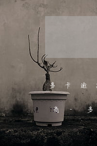 多卡逾期能不能一張張和銀行協(xié)商-多張銀行卡逾期該怎么還