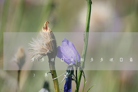 多多理財逾期(多多理財最新處理結(jié)果)