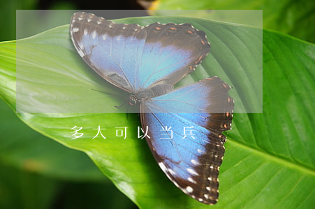 多大可以当兵