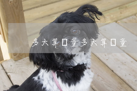 多大算兒童(多大算兒童?)