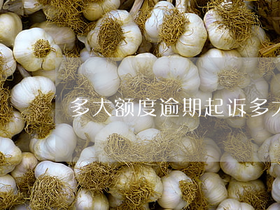 多大额度逾期起诉(多大额度逾期起诉)