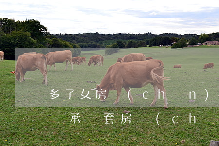 多子女房產(chǎn)怎么繼承(多名子女繼承一套房產(chǎn)怎么辦)