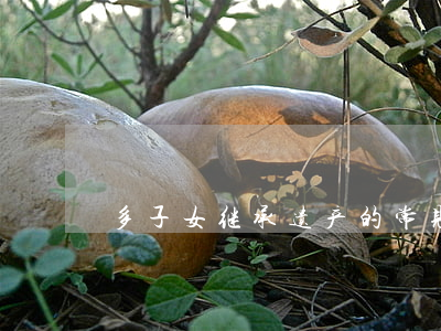 多子女继承遗产的常见争议有哪些？