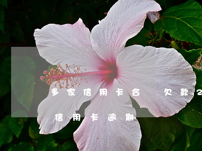 多家信用卡合計欠款20萬逾期(欠多家銀行信用卡逾期)