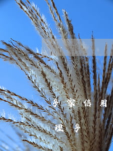 多家信用卡和網(wǎng)貸逾期怎么處理(多種網(wǎng)貸逾期會怎樣)