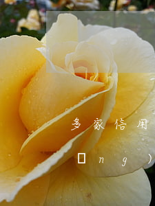 多家信用卡和網(wǎng)貸逾期(網(wǎng)貸逾期很多家)