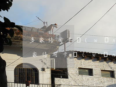 多家信用卡網(wǎng)貸逾期怎么辦(多家信用卡網(wǎng)貸逾期怎么辦)