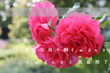 多家信用卡網(wǎng)貸逾期怎么還(網(wǎng)貸逾期了還能申請信用卡嗎)