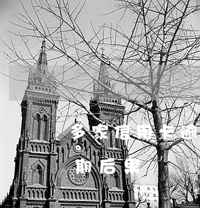 多家信用卡逾期11萬左右(十四萬信用卡逾期后果)