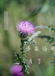 多家信用卡逾期三個月 多家信用卡逾期三個月了