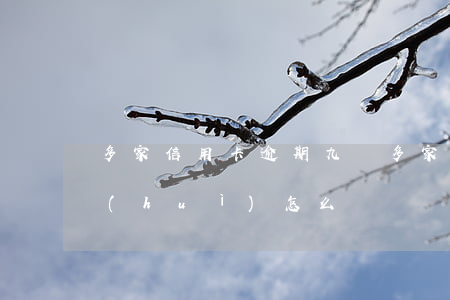 多家信用卡逾期九萬 多家信用卡逾期九萬會(huì)怎么樣