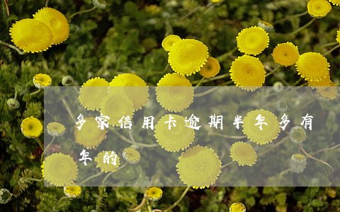 多家信用卡逾期半年多 有沒有信用卡逾期兩年的