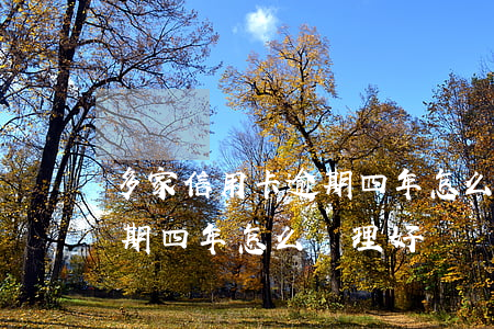 多家信用卡逾期四年怎么處理 多家信用卡逾期四年怎么處理好