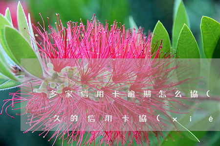 多家信用卡逾期怎么協(xié)商(逾期很久的信用卡協(xié)商)