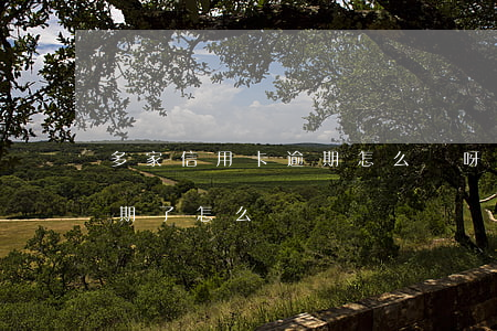 多家信用卡逾期怎么辦呀(多家銀行信用卡逾期了怎么辦)