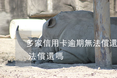 多家信用卡逾期無法償還(多家信用卡逾期無法償還嗎)