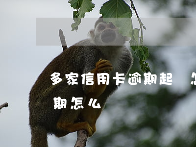 多家信用卡逾期起訴怎么辦(很多張信用卡逾期怎么辦)
