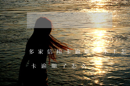 多家信用卡逾期還不上怎么辦(多家銀行信用卡逾期了怎么辦)
