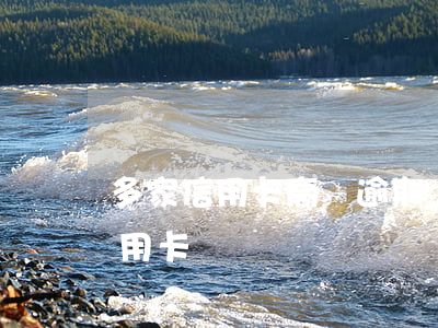 多家信用卡高額逾期(無故多了一張逾期的信用卡)