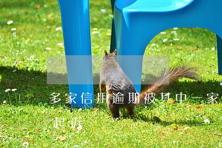 多家信用逾期被其中一家起诉-逾期被法院起诉