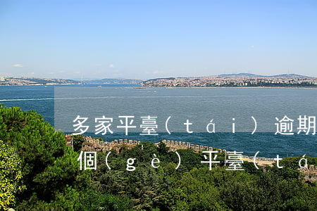 多家平臺(tái)逾期被起訴怎么辦(幾十個(gè)平臺(tái)全部逾期了怎么辦)