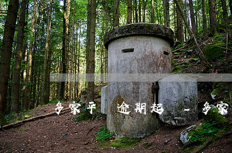 多家平臺逾期起訴-多家平臺逾期起訴