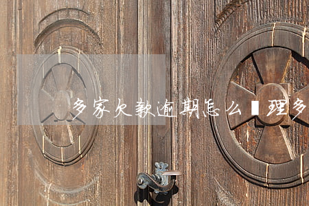 多家欠款逾期怎么處理（多家欠款逾期）