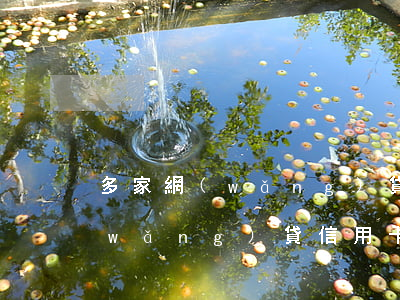 多家網(wǎng)貸信用卡逾期 多家網(wǎng)貸信用卡逾期全部上報征信