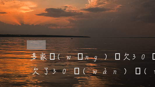多家網(wǎng)貸欠30萬(wàn)(欠了30萬(wàn)網(wǎng)貸)