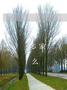 多家網(wǎng)貸逾期代償無力償還怎么辦-多家網(wǎng)貸逾期代償無力償還怎么辦呢