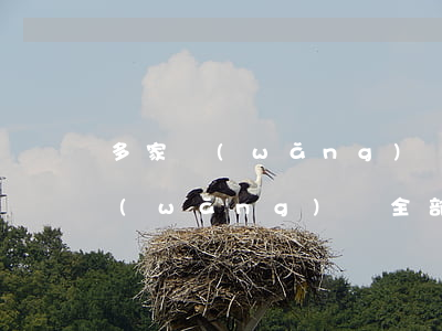 多家網(wǎng)貸逾期怎么辦(十多個網(wǎng)貸全部逾期)