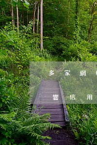 多家網(wǎng)貸逾期會(huì)影響信用卡信用嗎(網(wǎng)貸逾期久了會(huì)影響信用卡嗎)
