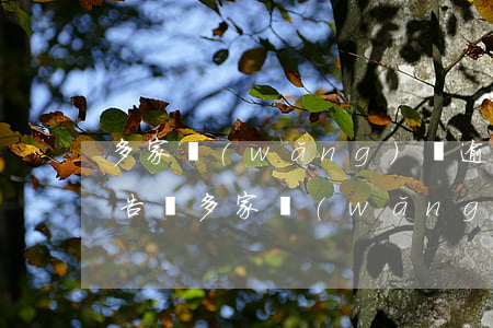 多家網(wǎng)貸逾期會(huì)被告嗎(多家網(wǎng)貸逾期會(huì)被告嗎)