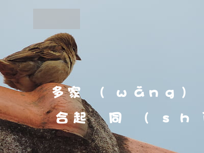 多家網(wǎng)貸逾期聯(lián)合起訴(同時(shí)被多家網(wǎng)貸平臺(tái)起訴)