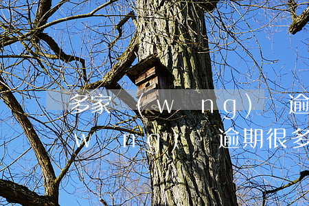 多家網(wǎng)貸逾期被多家起訴(網(wǎng)貸逾期很多家)