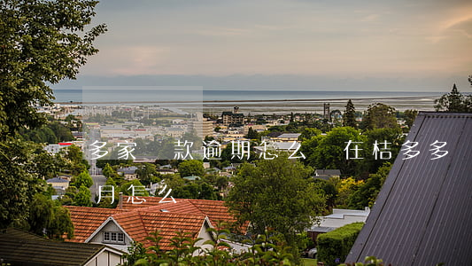 多家貸款逾期怎么辦(在桔多多貸款逾期兩個月怎么辦)