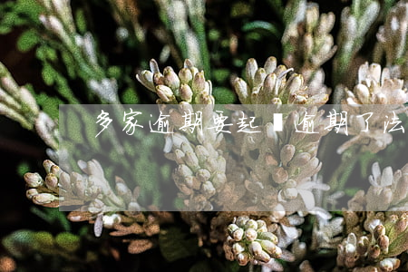 多家逾期要起訴(逾期了法院起訴)