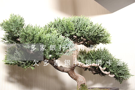 多家銀行信用卡有逾期會(huì)起訴嗎(欠多家銀行信用卡逾期)