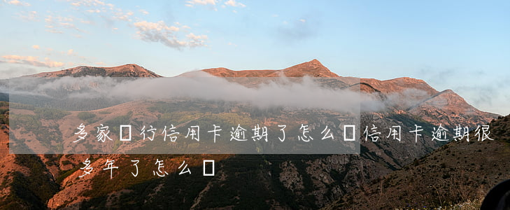 多家銀行信用卡逾期了怎么辦(信用卡逾期很多年了怎么辦)