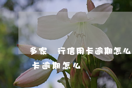 多家銀行信用卡逾期怎么辦(一個銀行的信用卡逾期怎么辦)