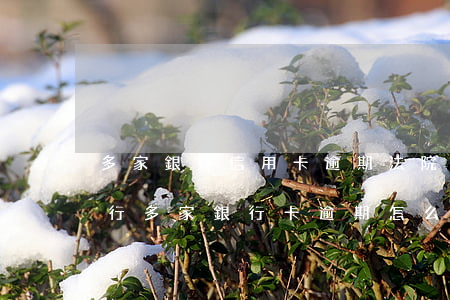 多家銀行信用卡逾期法院怎么執(zhí)行(多家銀行卡逾期怎么辦)