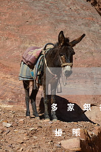多家銀行信用卡逾期申請(qǐng)停息掛賬-銀監(jiān)會(huì)規(guī)定信用卡停息掛賬