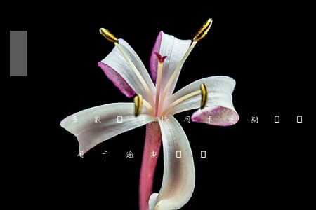 多家銀行信用卡逾期總額怎么查（多家銀行信用卡逾期總額）