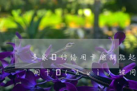 多家銀行信用卡逾期能起訴嗎(欠幾家銀行信用卡會(huì)被同時(shí)起訴嗎)
