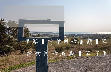 多家銀行信用卡逾期還不了怎么辦-多家銀行信用卡逾期還不了怎么辦呢