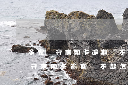 多家銀行信用卡逾期還不起怎么辦-多家銀行信用卡逾期還不起怎么辦呢