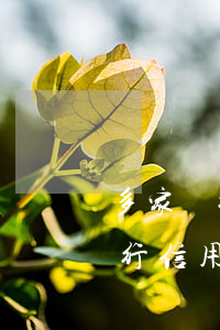 多家銀行信用卡逾期額度不超5萬-多家銀行信用卡逾期額度不超5萬怎么辦