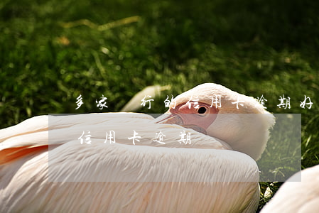 多家銀行的信用卡逾期 好幾個(gè)銀行信用卡逾期